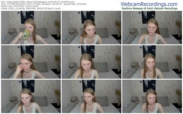 2024/06/07/chaturbate-phoebepaw-10-08-39