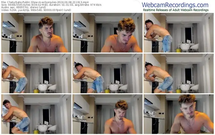 2024/06/08/chaturbate-wilsonjules-21-19-13