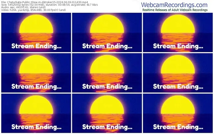 2024/06/09/chaturbate-dstroker15-01-14-30