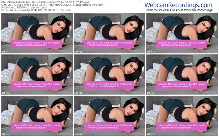 2024/06/10/chaturbate-itskassielee-11-25-47