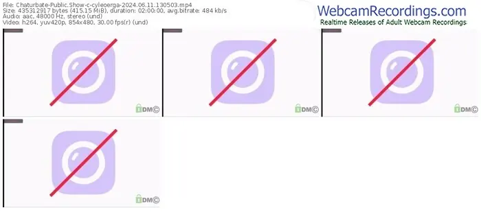 2024/06/11/chaturbate-cyleoerga-13-05-03