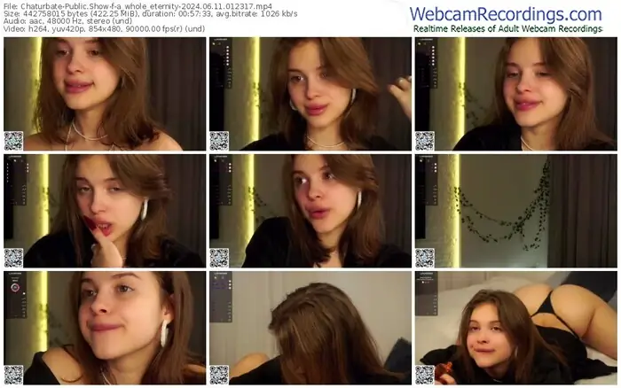 2024/06/11/chaturbate-a_whole_eternity-01-23-17