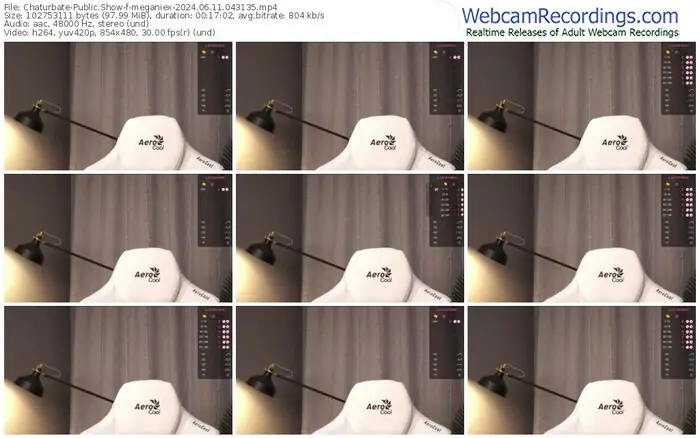 2024/06/11/chaturbate-meganiex-04-31-35