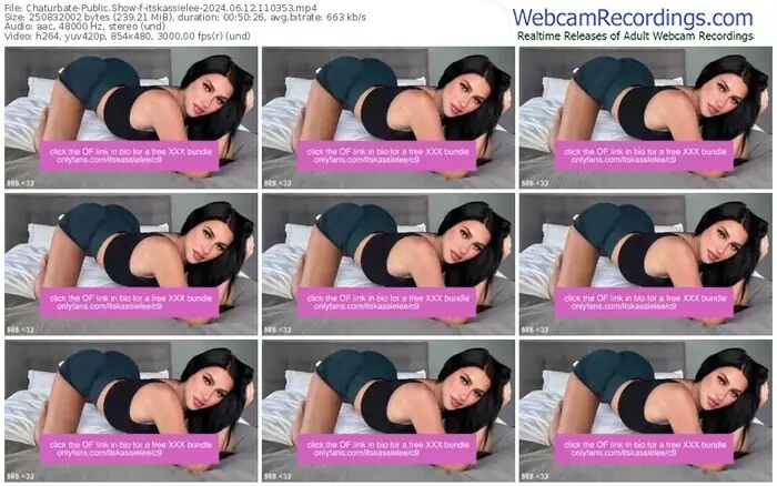 2024/06/12/chaturbate-itskassielee-11-03-53