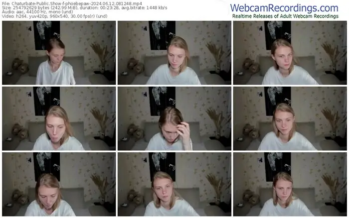 2024/06/12/chaturbate-phoebepaw-08-12-48