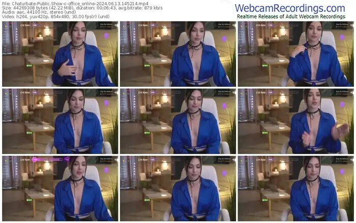 2024/06/13/chaturbate-office_online-14-52-14