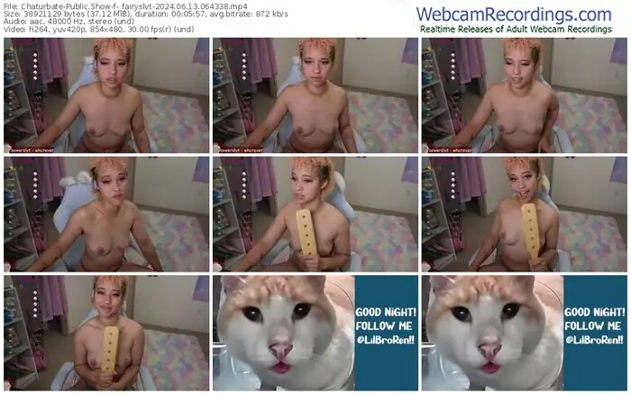 2024/06/13/chaturbate-_fairyslvt-06-43-38