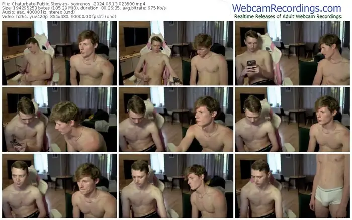 2024/06/13/chaturbate-_sopranos_-02-35-00