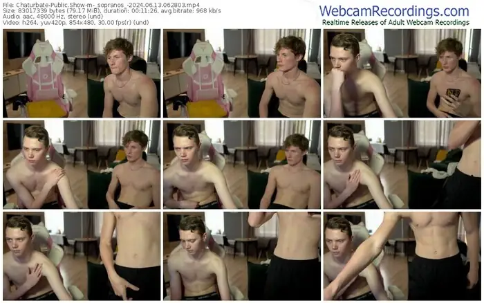 2024/06/13/chaturbate-_sopranos_-06-28-03