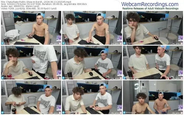 2024/06/13/chaturbate-borsh_-20-15-45