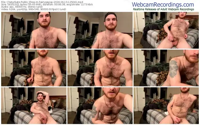 2024/06/13/chaturbate-hairygayjay-12-50-41