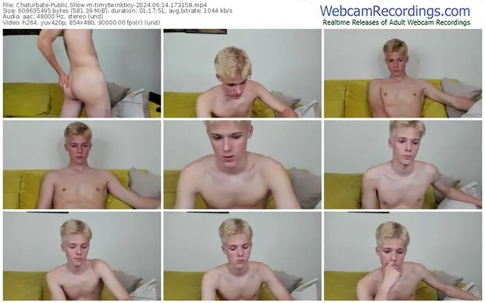 2024/06/14/chaturbate-timytwinkboy-17-31-58