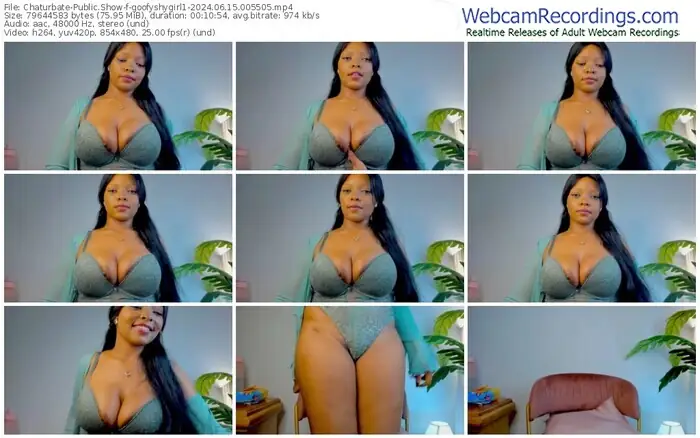 2024/06/15/chaturbate-goofyshygirl1-00-55-05