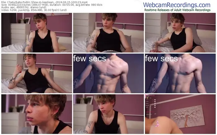2024/06/15/chaturbate-leanlean_-10-01-23