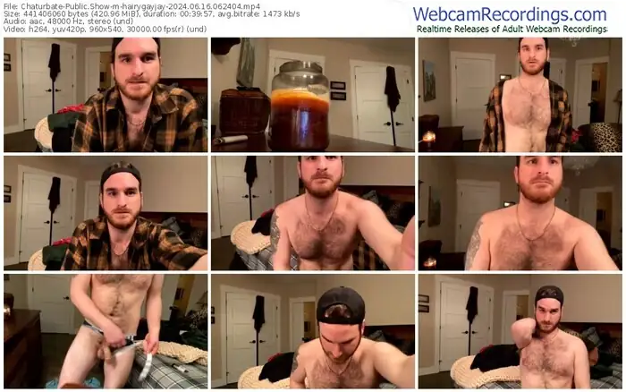 2024/06/16/chaturbate-hairygayjay-06-24-04