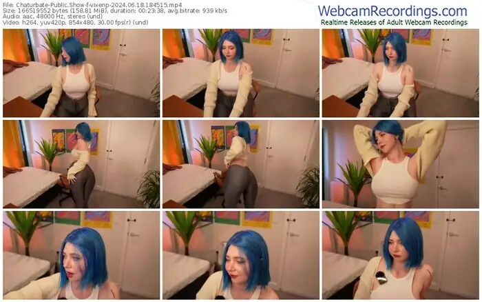 2024/06/18/chaturbate-vixenp-18-45-15