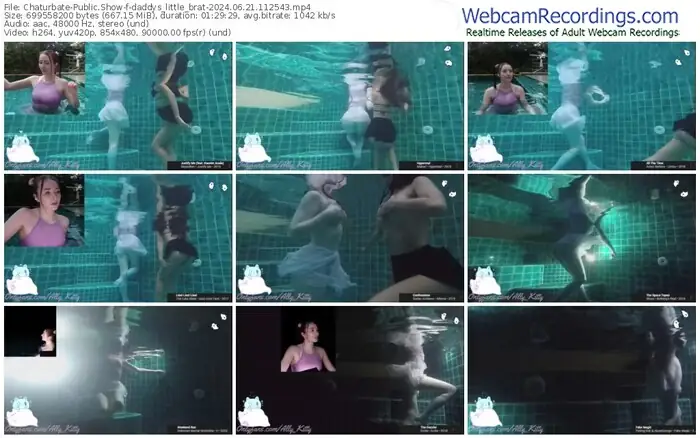 2024/06/21/chaturbate-daddys_little_brat-11-25-43