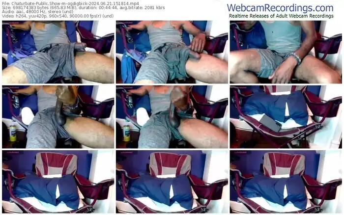 2024/06/21/chaturbate-ogdigbick-15-18-14