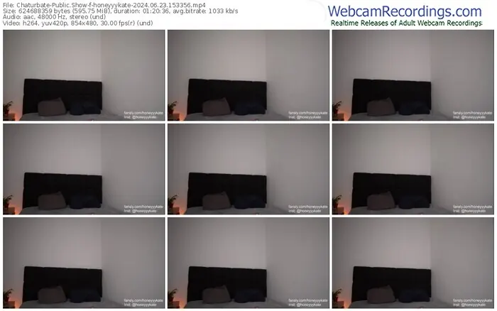 2024/06/23/chaturbate-honeyyykate-15-33-56