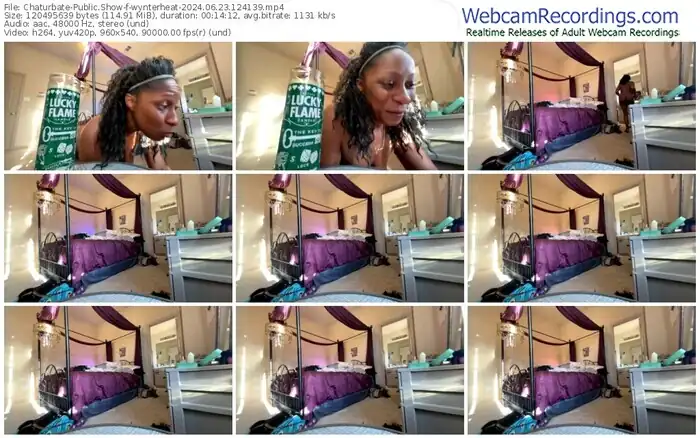 2024/06/23/chaturbate-wynterheat-12-41-39