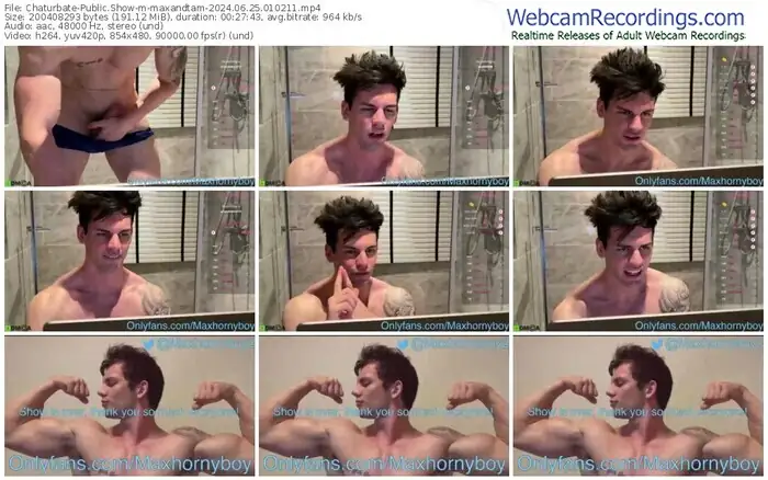 2024/06/25/chaturbate-maxandtam-01-02-11