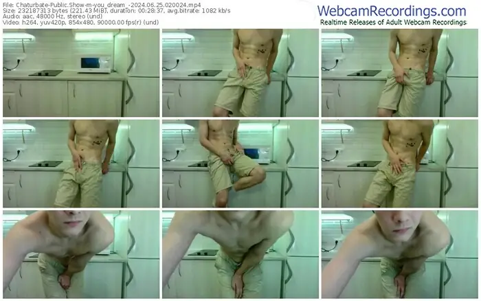 2024/06/25/chaturbate-you_dream_-02-00-24