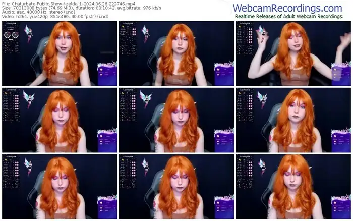 2024/06/26/chaturbate-zelda_1-22-27-46