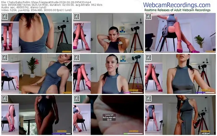 2024/06/28/chaturbate-legswattitude-09-54-33