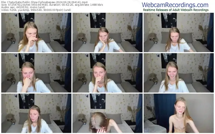 2024/06/28/chaturbate-phoebepaw-09-41-41