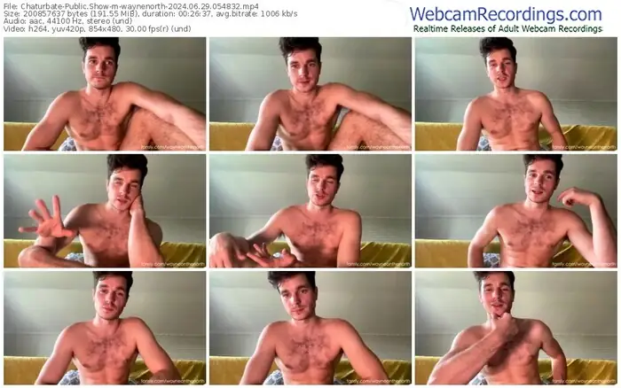 2024/06/29/chaturbate-waynenorth-05-48-32