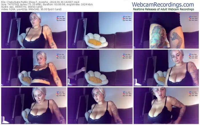 2024/06/30/chaturbate-_morpho_-14-20-07