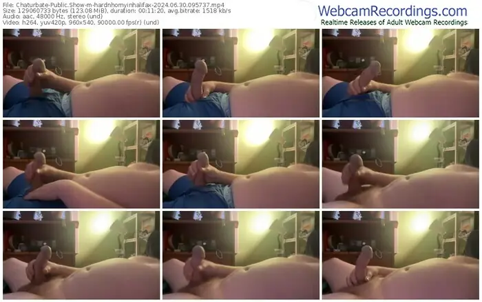 2024/06/30/chaturbate-hardnhornyinhalifax-09-57-37