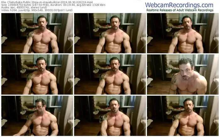 2024/06/30/chaturbate-stevebulkzor-02-02-19