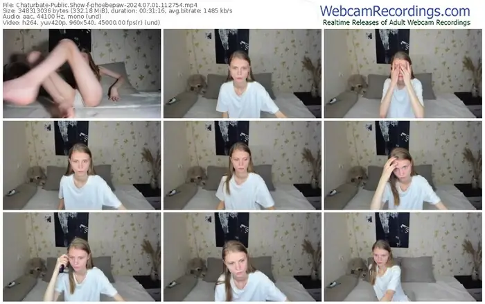 2024/07/01/chaturbate-phoebepaw-11-27-54