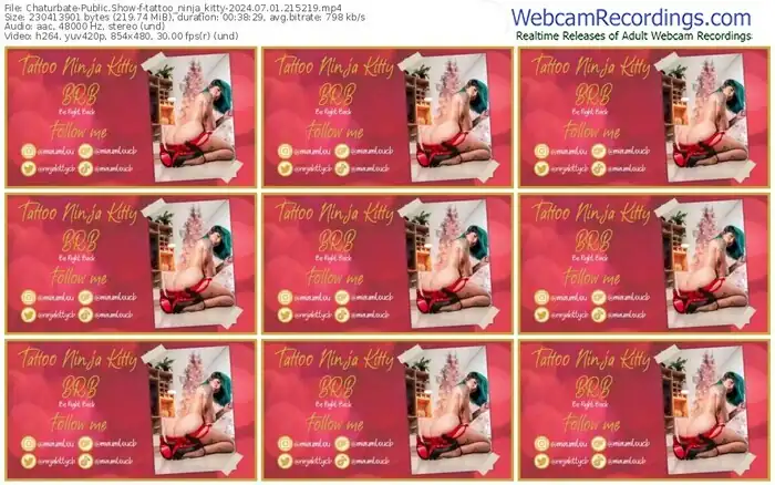 2024/07/01/chaturbate-tattoo_ninja_kitty-21-52-19