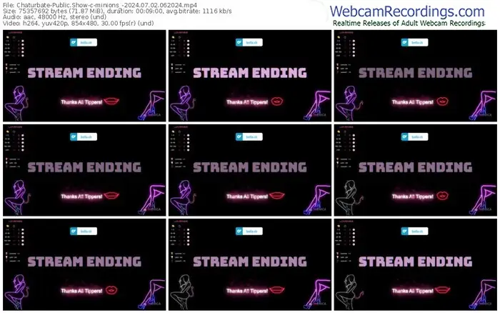 2024/07/02/chaturbate-minions_-06-20-24