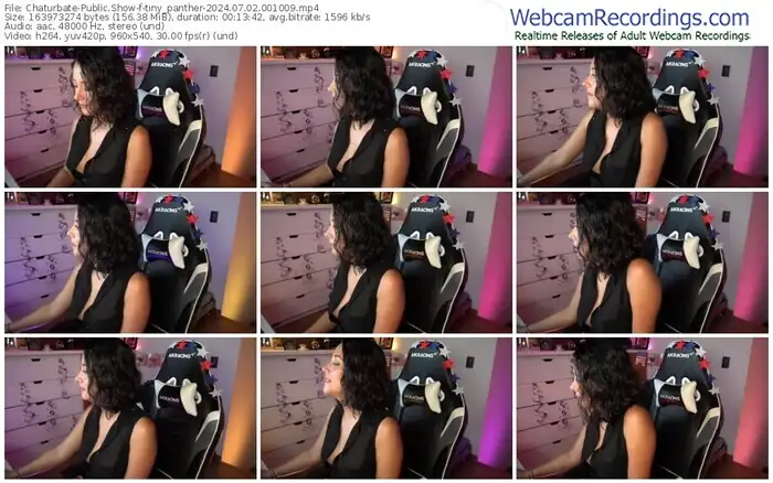 2024/07/02/chaturbate-tiny_panther-00-10-09