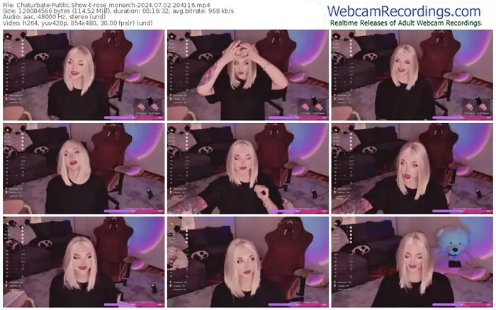 2024/07/02/chaturbate-rose_monarch-20-41-16