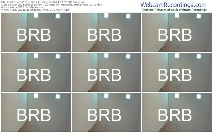 2024/07/02/chaturbate-sade_red-08-28-49