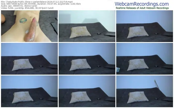 2024/07/12/chaturbate-joelandalexa-22-27-18