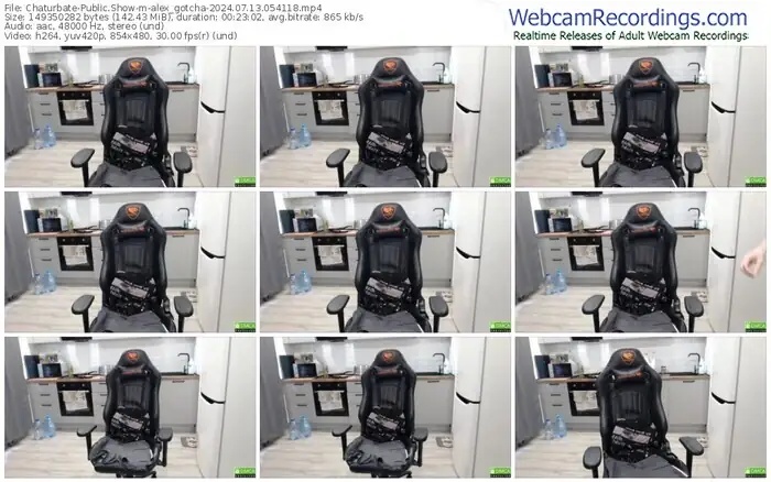 2024/07/13/chaturbate-alex_gotcha-05-41-18
