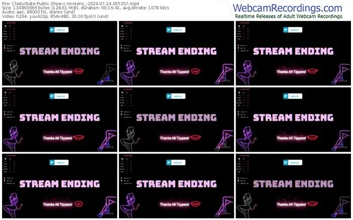 2024/07/14/chaturbate-minions_-05-53-57