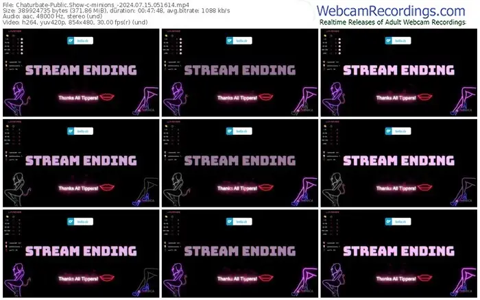 2024/07/15/chaturbate-minions_-05-16-14