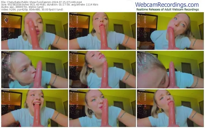 2024/07/15/chaturbate-viollasinzz-07-14-49