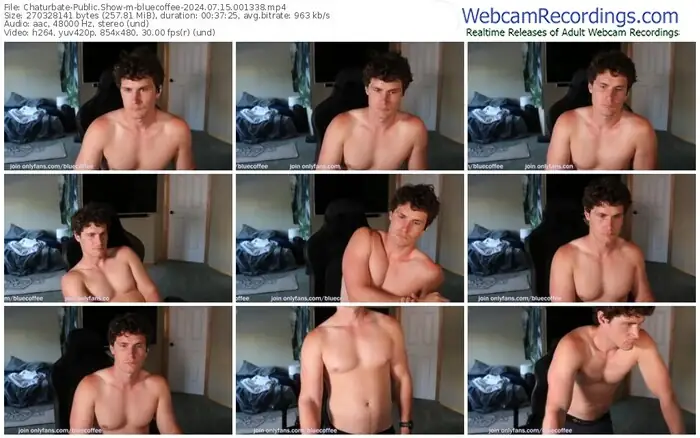 2024/07/15/chaturbate-bluecoffee-00-13-38