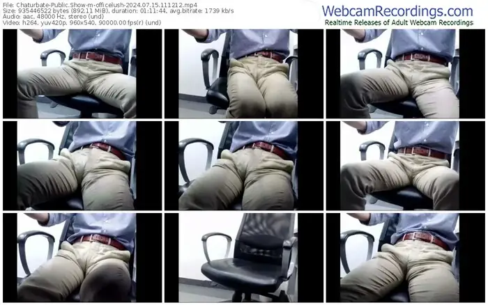 2024/07/15/chaturbate-officelush-11-12-12