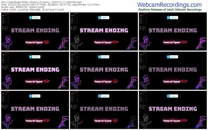 2024/07/17/chaturbate-minions_-06-02-48