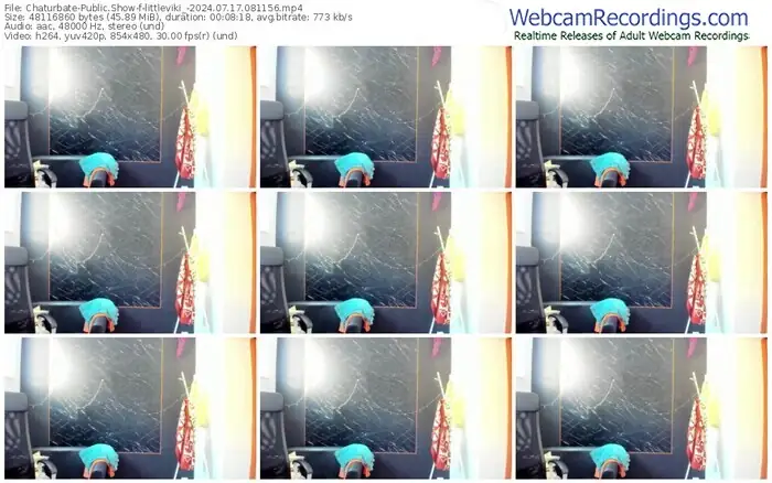 2024/07/17/chaturbate-littleviki_-08-11-56