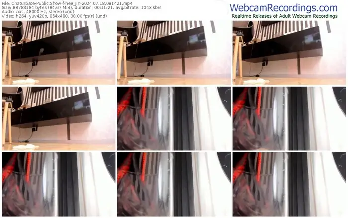 2024/07/18/chaturbate-hee_jin-08-14-21