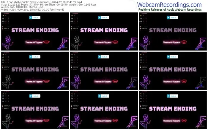 2024/07/20/chaturbate-minions_-05-41-53